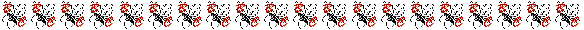 cropped-logo-transparent